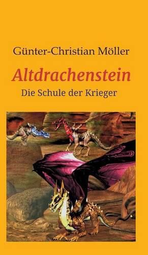 Cover image for Altdrachenstein