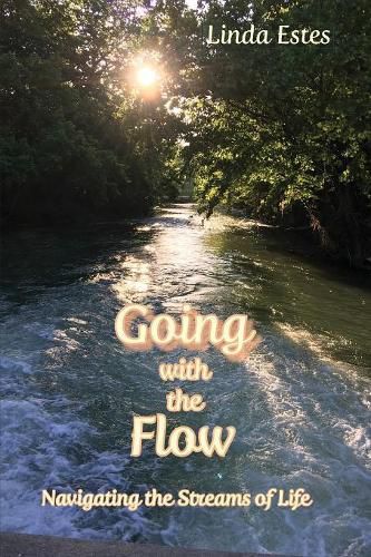 Cover image for Going with the Flow: Navigating the Streams of Life