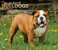 Cover image for Bulldogs, for the Love of 2020 Deluxe Foil