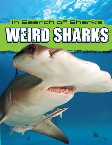 Cover image for Weird Sharks