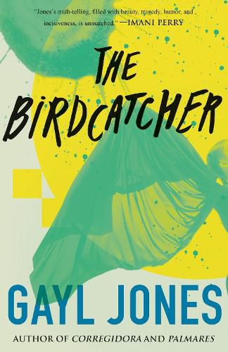 Cover image for The Birdcatcher