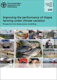 Cover image for Improving the performance of Tilapia: perspective from bioeconomic modelling