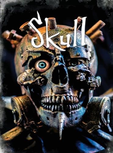 Cover image for Skull