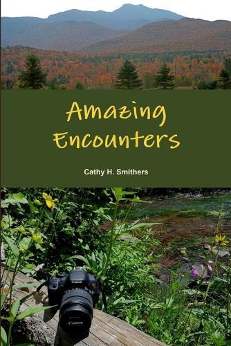 Cover image for Amazing Encounters