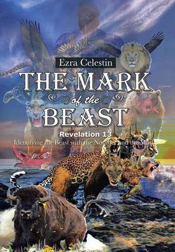 Cover image for The Mark of the Beast Revelation 13