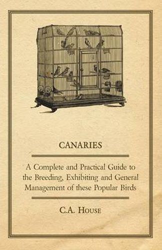 Cover image for Canaries - A Complete and Practical Guide to the Breeding, Exhibiting and General Management of These Popular Birds