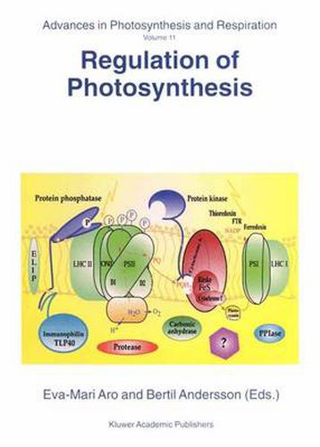 Cover image for Regulation of Photosynthesis