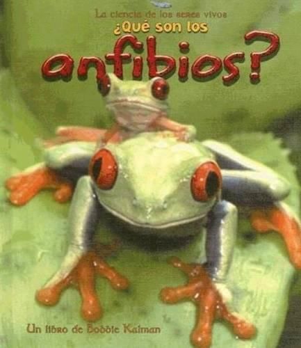 Cover image for Que son los Anfibios?