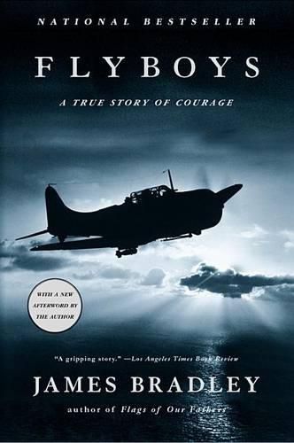 Cover image for Flyboys: A True Story of Courage