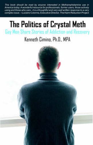 Cover image for The Politics of Crystal Meth: Gay Men Share Stories of Addiction and Recovery