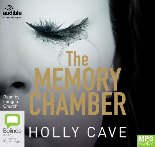 Cover image for The Memory Chamber