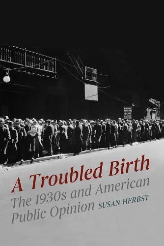 Cover image for A Troubled Birth: The 1930s and American Public Opinion