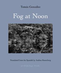 Cover image for Fog at Noon