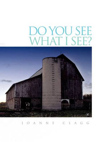 Cover image for Do You See What I See?