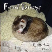 Cover image for Ferret Dreams: Crittertude