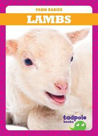 Cover image for Lambs