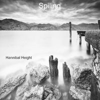 Cover image for Spiling