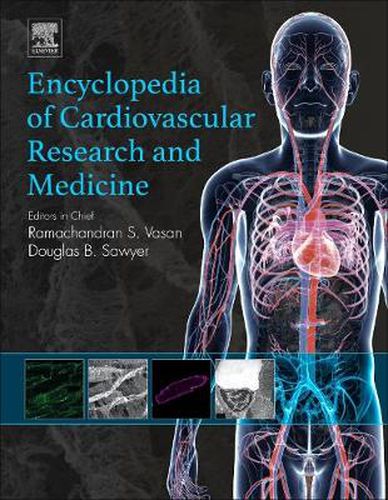 Cover image for Encyclopedia of Cardiovascular Research and Medicine