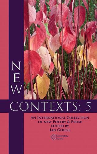 Cover image for New Contexts: 5