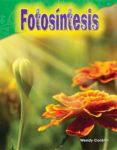 Cover image for Fotosintesis (Photosynthesis)