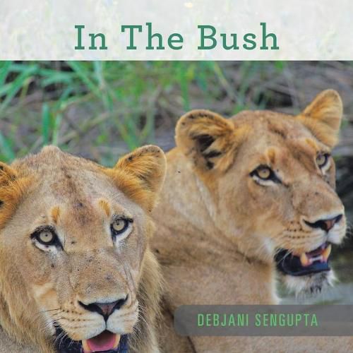 Cover image for In the Bush