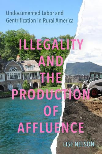 Cover image for Illegality and the Production of Affluence