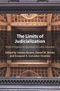 Cover image for The Limits of Judicialization