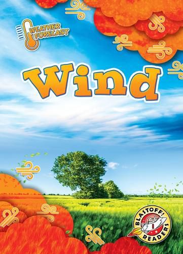 Cover image for Wind