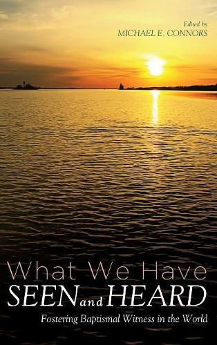 Cover image for What We Have Seen and Heard: Fostering Baptismal Witness in the World