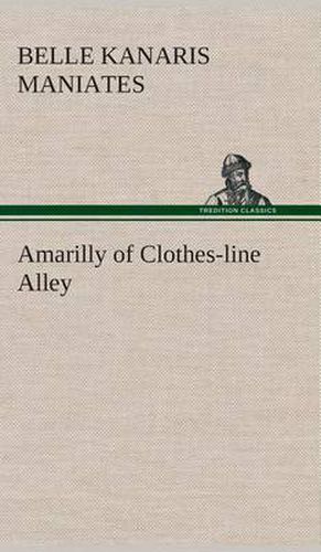 Cover image for Amarilly of Clothes-line Alley