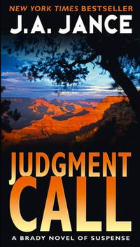 Cover image for Judgment Call