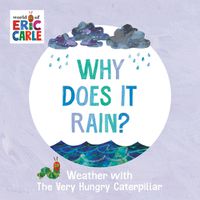 Cover image for Why Does It Rain?