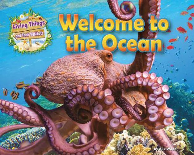 Cover image for Welcome to the Ocean