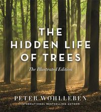 Cover image for The Hidden Life of Trees : The Illustrated Edition