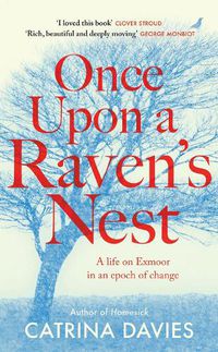 Cover image for Once Upon a Raven's Nest