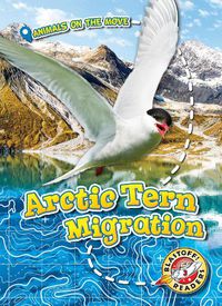 Cover image for Arctic Tern Migration