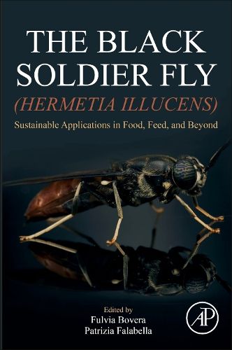 The Black Soldier Fly (Hermetia illucens)