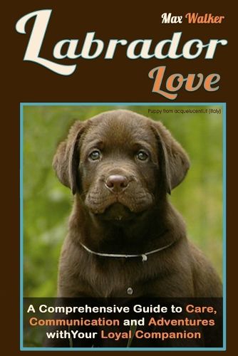 Cover image for Labrador Love