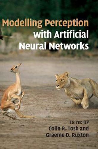 Cover image for Modelling Perception with Artificial Neural Networks