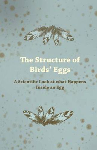 Cover image for The Structure of Birds Eggs - A Scientific Look at What Happens Inside an Egg