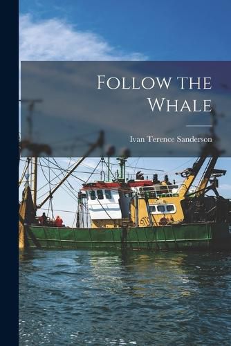 Cover image for Follow the Whale