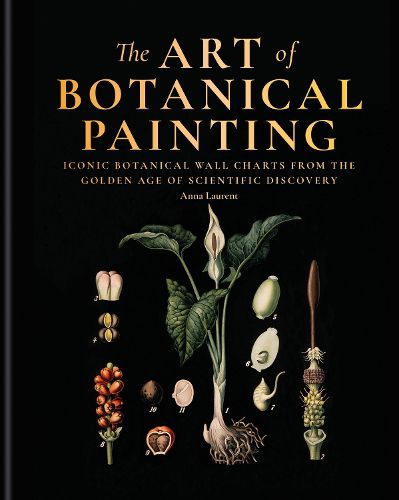 Cover image for The Art of Botanical Painting