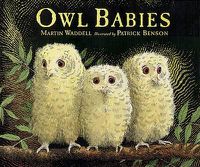 Cover image for Owl Babies Big Book