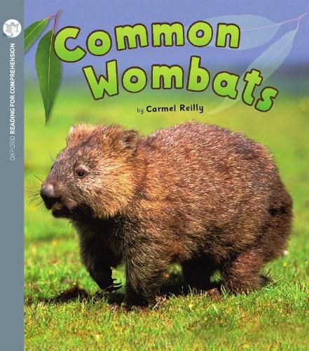 Cover image for Common Wombats: Oxford Level 2: Pack of 6