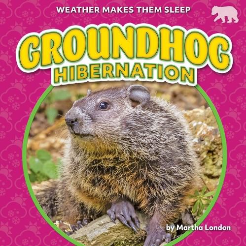 Cover image for Groundhog Hibernation