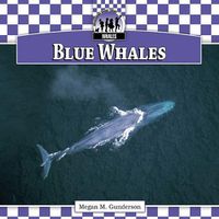 Cover image for Blue Whales