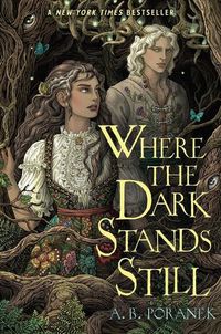 Cover image for Where the Dark Stands Still