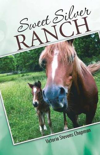 Cover image for Sweet Silver Ranch
