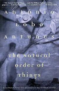 Cover image for The Natural Order of Things