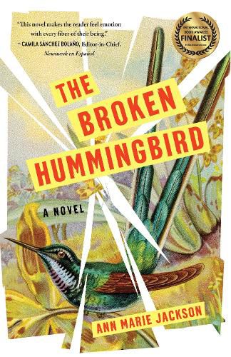 Cover image for The Broken Hummingbird